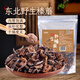 鮮窩窩 東北野生榛蘑100g 特產(chǎn)山珍菌菇蘑菇干貨火鍋食材 小雞燉蘑菇