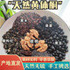 北京同仁堂七黑粉黑芝麻黑豆黑棗黑花仁核桃黑米黑桑葚黑木耳枸杞即食 [1罐300克裝]花青素滿滿