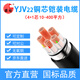 國超電纜 YJV22-0.6/1KV-4*35+1*16銅芯國標鎧裝地埋4+1芯電力電纜 1米【現(xiàn)貨】
