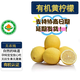 2024現(xiàn)摘有機(jī)黃檸檬5斤 歐盟有機(jī)認(rèn)證無農(nóng)殘榨汁不打蠟皮薄多汁 130-200g 丑檸檬介意勿拍 5斤