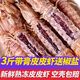鮨京【漁港直發(fā)】皮皮蝦鮮活熟凍全母帶膏富貴蝦冷凍蝦爬子 海鮮水產(chǎn) 全母帶膏皮皮蝦 3斤(凈重)