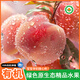 【有機種植水蜜桃】盛夏精品桃香濃郁脆甜新鮮現采孕婦高端水果 8斤 精品大果/順豐直達/當天采摘