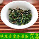 鐵觀(guān)音2025安溪鐵觀(guān)音茶葉鮮茶濕茶冰茶濃香型新茶春茶帶梗毛茶散茶500g