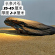 云舵魚(yú)缸造景石原生溪流石主石大塊巖片石頭底砂天然原石專(zhuān)用魚(yú)缸躲避 長(cháng)條片石 35-45厘米 厚度2-3厘米(支持備注