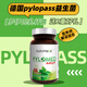 Nutrimexx優(yōu)萃美益生菌咀嚼片pylomed德國Pylopass羅伊氏乳桿菌DSM17648 1瓶裝成人版優(yōu)萃美（送牙膏+試紙）