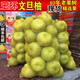 夢(mèng)茜兒順豐現貨 文旦柚 玉環(huán)浙江臺州 禮盒裝白肉柚子30年老樹(shù)尾度新鮮 10斤A級大果 普快