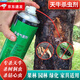 滅天牛殺蟲劑克星果樹殺鉆心蟲幼蟲樹木防蟲藥除木材蛀蟲噴劑 450 450ml
