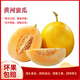 遇見(jiàn)憫農(nóng)正宗甘肅蜜瓜明勤黃香瓜甜瓜黃河蜜瓜黃金瓜黃金蜜生鮮新鮮水果 黃河蜜瓜含箱9斤【紅白肉隨機(jī)】 鮮甜蜜瓜