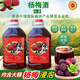 憶中梅浙江仙居楊梅酒養(yǎng)生自釀糧食燒酒果酒桶裝5斤梅子酒新鮮楊梅浸泡 40°原汁楊梅酒*1桶