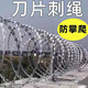 凱諾星刀片刺繩防護網(wǎng)刺籠蛇腹防盜網(wǎng)高鋅雙螺旋直徑50厘米覆蓋10米