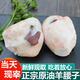 當(dāng)天現(xiàn)殺羊腰子新鮮羊內(nèi)腰現(xiàn)取正宗原油羊腎羊?qū)殶臼巢难蜓r 一斤