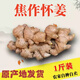 焦作懷姜新鮮姜生姜山王莊老姜土姜小黃姜懷姜糖膏原料 山王莊懷姜1斤