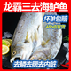 龍霸大號三去酒香海鱸魚(yú)凈重335g*3袋去鱗去腮去內臟淡水魚(yú) 龍霸三去酒香海鱸魚(yú)335g*3袋