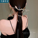 樂喵（LEMIAO）韓國蛇形鑲鉆流蘇發(fā)簪時小眾感盤發(fā)簪子發(fā)釵輕奢發(fā)飾國風(fēng)七夕禮物 A1527-1靈蛇鑲鉆發(fā)簪A23-206