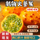 果坊情新鮮火參果復聯(lián)滅霸網(wǎng)紅水果 配蜂蜜吸管低糖兒童特色水果8個(gè)裝 8個(gè)裝 單果250g以上