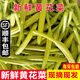 辰實【順豐】黃花菜新鮮 忘憂草 金針菜蔬菜當季時令蔬菜 1斤 【現(xiàn)摘 時令蔬菜】