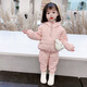 鸞雀翔一周歲女寶寶衣服2加絨加厚女童套裝冬裝保暖棉服周歲禮服兩件套3 粉色加厚棉服套裝 加厚 90cm建議體重22-27斤 年齡1-2歲
