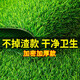 清雅仿真草坪隔音墊子假草皮屋頂陽臺(tái)隔熱防滴水聲空調(diào)外機(jī)雨棚假草坪 3cm特密抗老化【特密|不掉渣款】