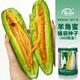 壽禾 羊角蜜種子苗脆甜水果甜瓜種籽 濰育壽甜9號羊角蜜種子600粒桶裝