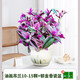 壹植油畫(huà)婚禮吊蘭垂吊植物花卉植物室內花盆栽多肉水培綠植陽(yáng)臺紫露蘭 油畫(huà)吊蘭10-15棵+郁金香瓷盆+肥