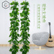 水木然仿真藤條精靈綠蘿綠植藤蔓塑料管道吊頂裝飾仿真植物綠葉5條裝