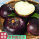 半畝莊園 山東圓茄子現(xiàn)摘時(shí)令蔬菜新鮮紫茄 4.6斤