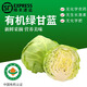 海篁山【有機(jī)紫甘藍(lán)】新鮮有機(jī)蔬菜沙拉菜 有機(jī)卷心菜包菜生鮮健身蔬菜 有機(jī)綠甘藍(lán)1斤