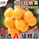 5斤東北姑娘果新鮮大果菇娘薄皮整箱水果應季時(shí)令黃皮燈籠果1 2500g A+級【精品果】店長(cháng)力薦·買(mǎi)多更