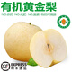 【有機(jī)】萊陽(yáng)秋月梨 黃金梨 現(xiàn)摘香梨 新鮮水果整箱 中秋禮盒生鮮 【有機(jī)黃金梨】 7-12枚禮盒(4kg)