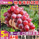順豐 秘魯進(jìn)口紅提5斤新鮮葡萄水果脆甜提子大果當季孕婦整箱 1000g 1000g 1-1g 2500g 2500g 2500g