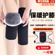 曇蓓漫保暖護(hù)膝護(hù)腿可調(diào)節(jié)防滑透氣冬季騎行加厚加絨老寒腿防寒護(hù)膝蓋 黑色均碼保暖護(hù)膝（一對(duì)裝） 升級(jí)加厚羊羔絨+防兔毛 雙面可穿