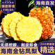 覓百果正宗海南金鉆鳳梨香水無眼菠蘿新鮮當(dāng)季熱帶水果手撕鳳梨整箱 5斤精選裝【2-3個(gè)】A級爆甜