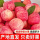 正宗紅富士蘋(píng)果現摘水果新鮮當季紅富士蘋(píng)果冰糖心果脆甜整箱 3斤 70mm-75mm