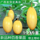 香蜜百香果苗1個(gè)1斤重大果純甜爬藤庭院盆栽地栽耐寒四季當年結果 4棵20-30厘米(5-6個(gè)月結果)
