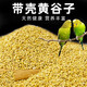 派樂特  鳥糧鸚鵡飼料零食虎皮玄鳳牡丹帶殼黃谷子 凈重450g