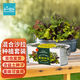 IAM City Farmer盆栽蔬菜DIY種植趣味盆栽陽臺種植可食用果蔬種子健康好種10101
