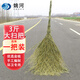 姚河大掃把戶(hù)外環(huán)衛竹掃把硬毛掃把高粱芒草掃把馬路庭院專(zhuān)用掃把 一體大掃把3斤店主推薦 一把裝