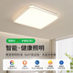 大觀園（DGY）客廳燈現(xiàn)代簡約客廳主燈led吸頂燈創(chuàng)意輕奢大氣餐廳臥室燈125O 48W 正方形48cm-三色變光-全光譜