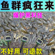 2025新款超聲波誘魚器全自動(dòng)聲納探魚器黑科技太陽能聲波釣魚神器 一個(gè)【誘光整條河】