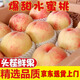 桃李村肥城新鮮水蜜桃現摘現發(fā)山東脆軟甜桃當季孕婦水果整箱大桃子多汁 9個(gè)裝【單果4-5兩】 精挑桃