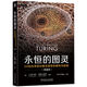 永恒的圖靈：20位科學(xué)家對(duì)圖靈思想的解構(gòu)與超越 典藏版