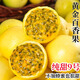 粵迎廣西正宗黃金百香果欽蜜9號產(chǎn)地直發(fā)新鮮包郵純甜孕婦當(dāng)季水果 凈2.5-3斤精選果【單果30g+】