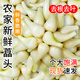 薯小萌藠頭新鮮現(xiàn)發(fā)蔬菜茭頭蕎頭叫頭干凈可腌制辣泡菜個大去葉 新鮮藠頭 5斤