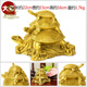 銅瑞祥純銅招財(cái)金錢龜烏龜風(fēng)水?dāng)[件家居工藝品裝飾擺設(shè)禮品風(fēng)水招財(cái)擺件 三代龜大號