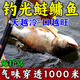 釣鰱鳙方塊餌料手桿海竿專(zhuān)用野釣黑坑鰱魚(yú)花白鰱大頭魚(yú)酸臭味餌料 買(mǎi)二送一【85%釣友選擇】