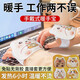 壹念暖手貼自發(fā)熱手握暖寶寶穿戴式暖手寶學(xué)生專用神器一次性2024新款 80片【萌寵四款混搭】-穿戴式