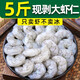 新鮮無(wú)冰蝦仁鮮凍無(wú)冰青蝦仁商用鮮凍批發(fā)冷凍蝦仁去蝦 5斤5包大蝦仁 5斤(凈重)