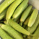 四海上品山東特產(chǎn)海陽(yáng)白玉黃瓜時(shí)令水果生吃小黃瓜新鮮蔬菜現摘現發(fā)孕婦 白玉黃瓜凈重 4.5斤