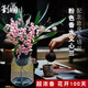劉閣蘭花5色可選 水培夢(mèng)香蘭花苗帶盆發(fā)貨香水文心蘭奶油味室內(nèi)花卉盆栽草 粉色文心蘭帶4支生花劍 配北歐盆
