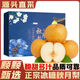 壹萌果蔬山東秋月梨冰糖梨當(dāng)季新鮮水果冰糖梨整盒中秋送禮整箱發(fā)出 精選凈4.5-5斤【單果200g+】